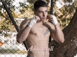 AdamBull