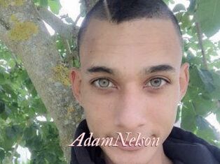 Adam_Nelson