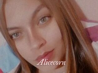 Alicecorn