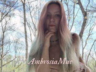 AmbrosiaMae