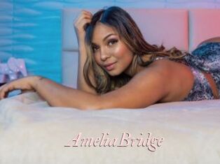 AmeliaBridge