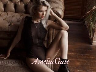 AmeliaGate