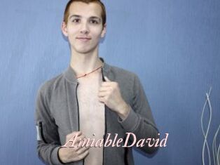 AmiableDavid