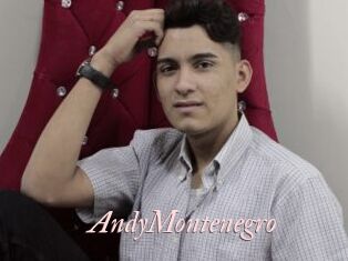 AndyMontenegro