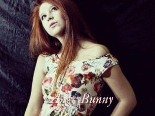 AngryBunny