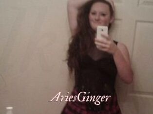 AriesGinger