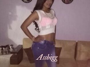 Assbigg