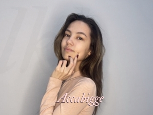 Accabigge