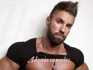 Adonis_muscles