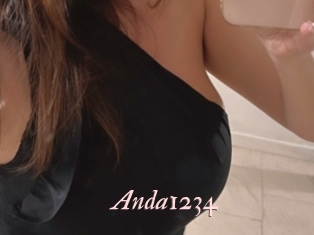Anda1234