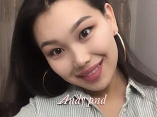 Andy_pnd