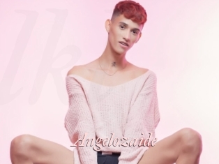 Angelozaide
