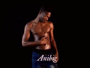 Anibig