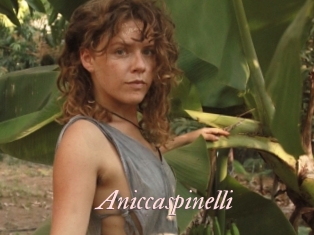 Aniccaspinelli