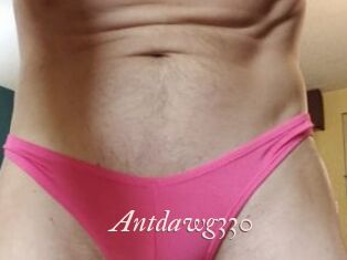 Antdawg330