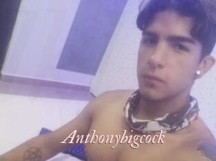 Anthonybigcock