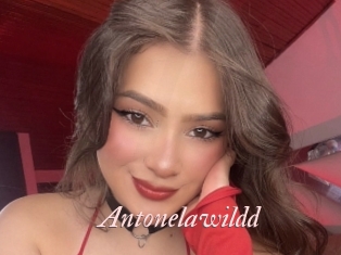 Antonelawildd