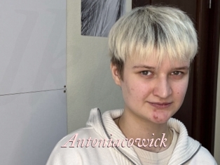 Antoniacowick