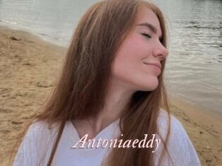 Antoniaeddy