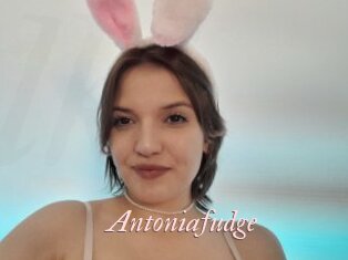 Antoniafudge
