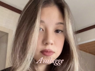 Arabigge