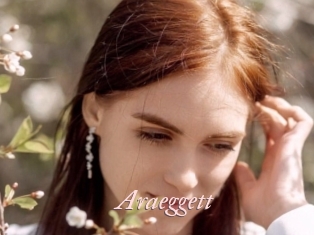 Araeggett