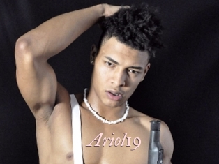 ariol19 Leukelol