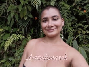 Artemiznayak