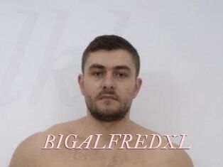 BIGALFREDXL