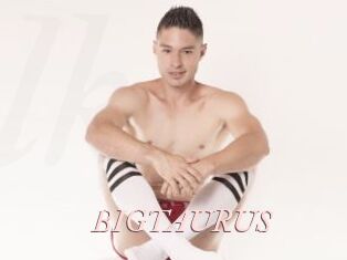 BIGTAURUS