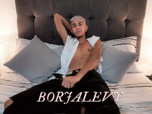 BORJALEVY