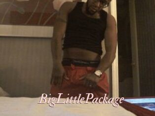 BigLittlePackage