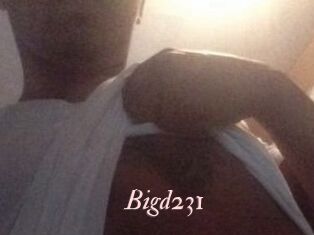 Bigd231