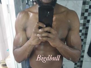 Bigdbull
