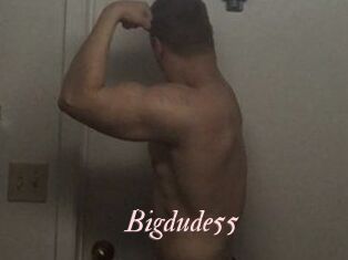 Bigdude55