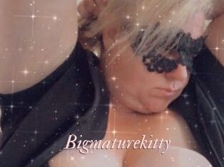 Bigmaturekitty