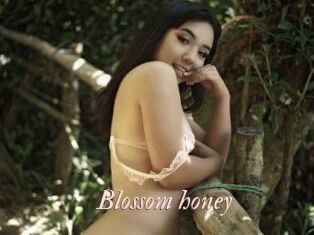 Blossom_honey