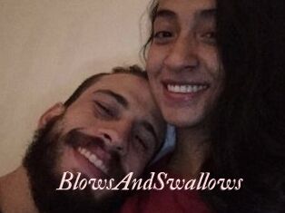 BlowsAndSwallows