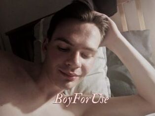 BoyForUse Leukelol