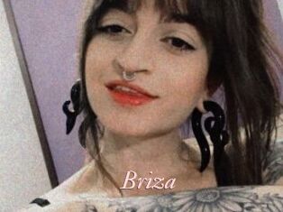 Briza