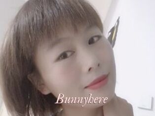 Bunnyhere