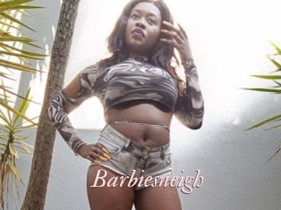 Barbiesneigh