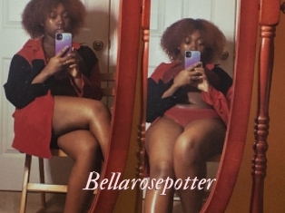 Bellarosepotter