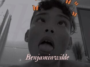 Benjaminwilde