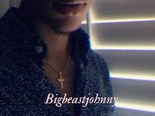 Bigbeastjohnny