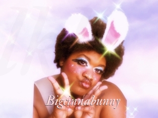 Bigcinnabunny