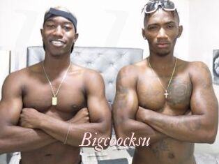 Bigcoocksu