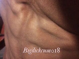 Bigdickcum018