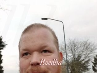 Boedha
