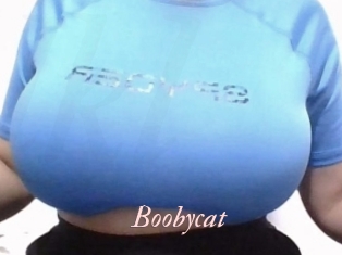 Boobycat